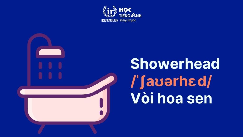 Từ vựng tiếng Anh về phòng tắm: Thiết bị ở bồn tắm