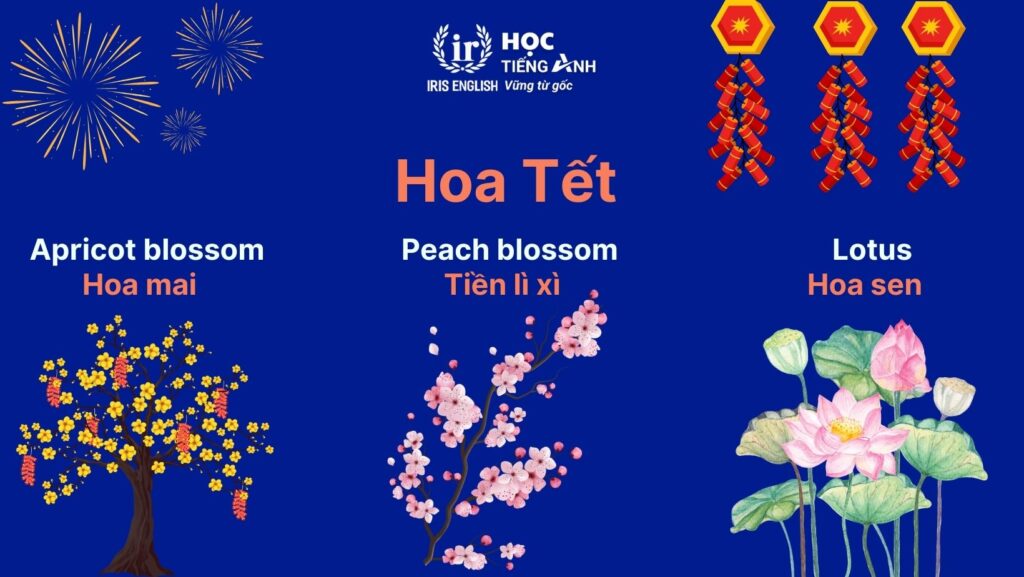 Từ vựng tiếng Anh về Tết Nguyên Đán: Các loại hoa ngày Tết