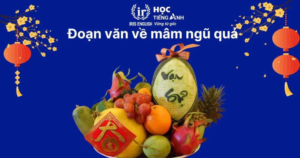 15+ đoạn văn viết về Tết bằng tiếng Anh ngắn gọn, có dịch nghĩa 13 Đoạn văn viết về Tết bằng tiếng Anh số 13: Mâm ngũ quả ngày Tết