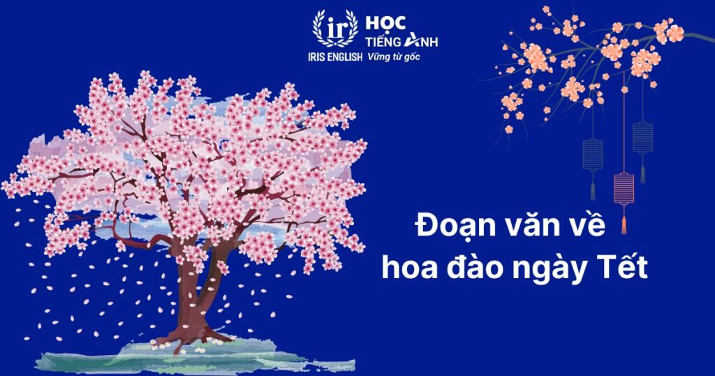 15+ đoạn văn viết về Tết bằng tiếng Anh ngắn gọn, có dịch nghĩa 5 Đoạn văn viết về Tết bằng tiếng Anh số 5: Hoa đào ngày Tết