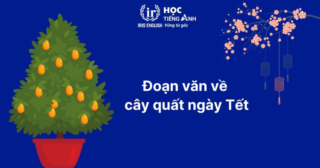 15+ đoạn văn viết về Tết bằng tiếng Anh ngắn gọn, có dịch nghĩa 6 Đoạn văn viết về Tết bằng tiếng Anh số 6: Cây quất