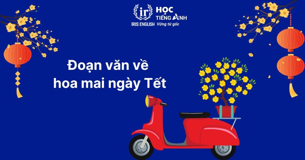 15+ đoạn văn viết về Tết bằng tiếng Anh ngắn gọn, có dịch nghĩa 7 Đoạn văn viết về Tết bằng tiếng Anh số 7: Hoa mai ngày Tết