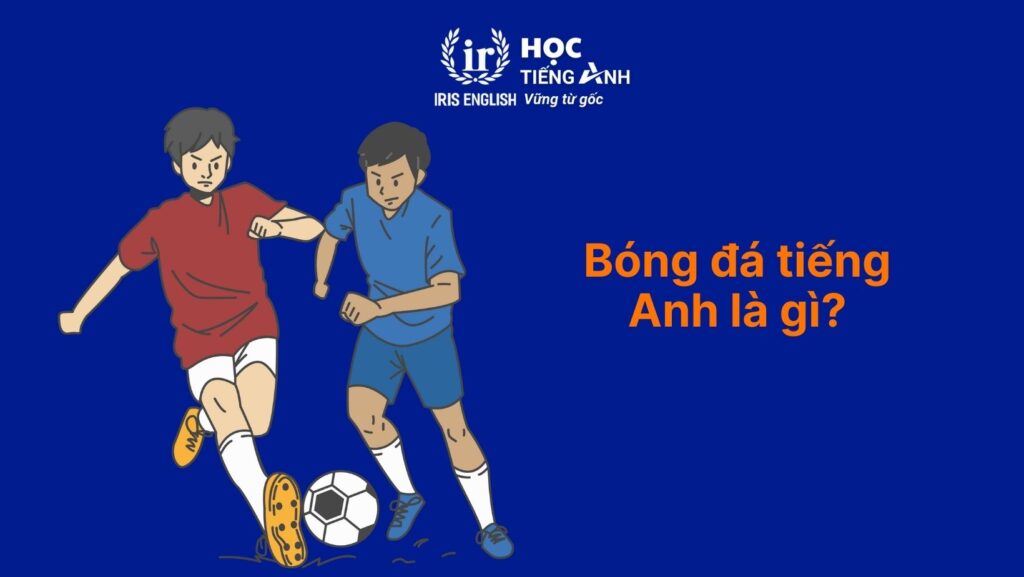 Bóng đá tiếng Anh là gì? 101 điều nên biết về bóng đá 1 Bóng đá tiếng Anh là gì?