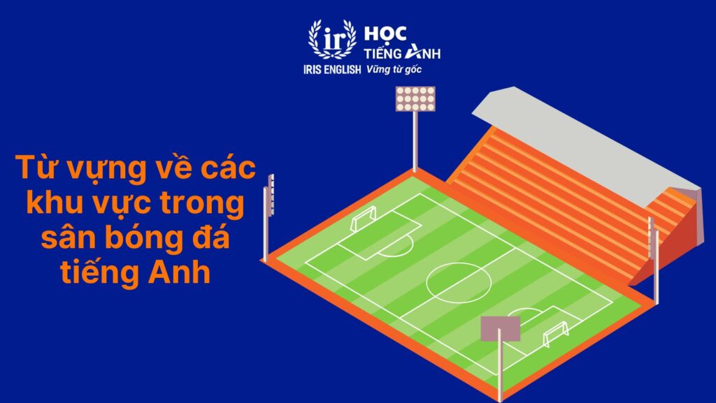 Từ vựng về các khu vực trong sân bóng đá tiếng Anh