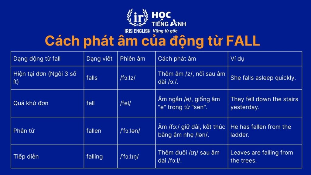 Hướng dẫn cách phát âm của động từ fall