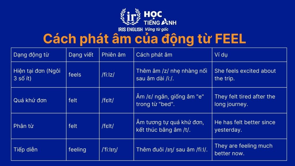 Cách chia động từ Feel dễ hiểu. V1, V2, V3 của Feel là gì? 2 Cách phát âm của động từ Feel