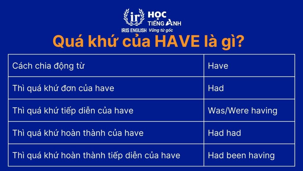Quá khứ của have là gì?
