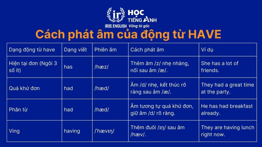 Cách phát âm của động từ Have