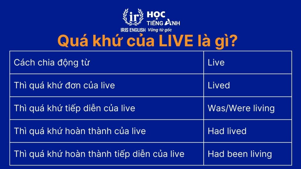 Quá khứ của Live là gì?