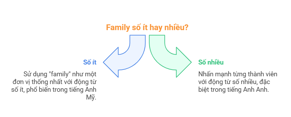 family so it hay nhieu visual selection 1