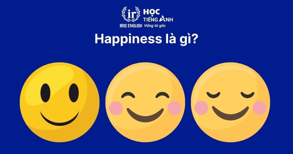 Happiness là danh từ đếm được hay không đếm được? 1 Happiness là gì?
