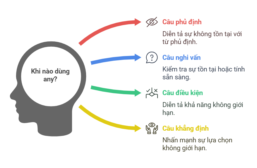 khi nao dung any visual selection