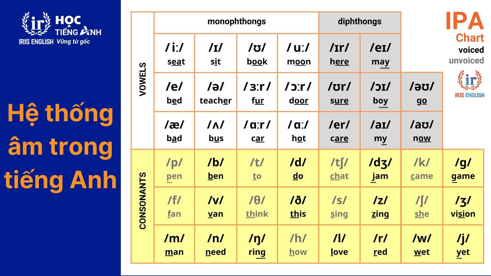 100+ bài tập phát âm tiếng Anh có đáp án (PDF tải xuống) 1 Hệ thống âm trong tiếng Anh