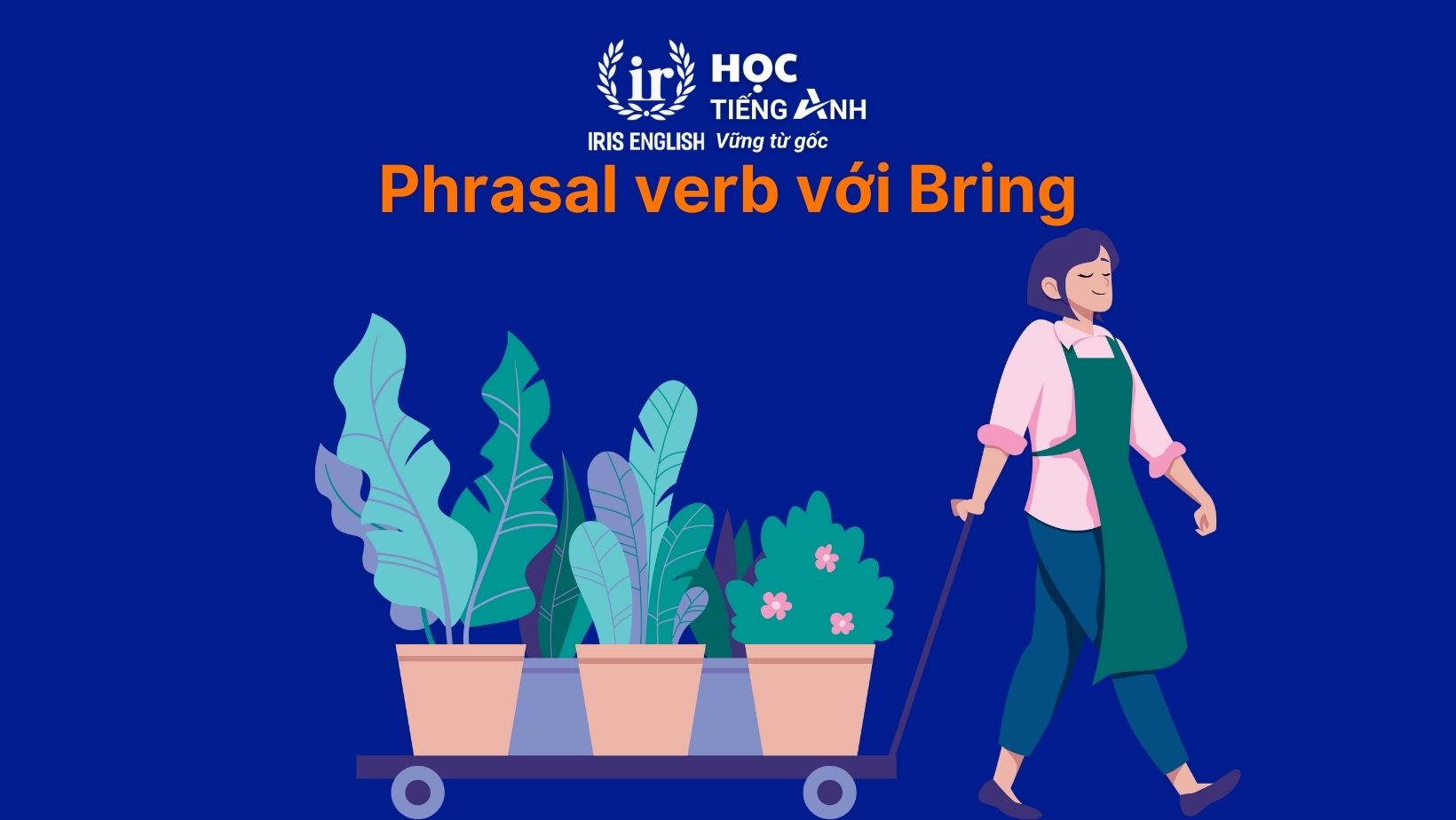 Phrasal verb với Bring