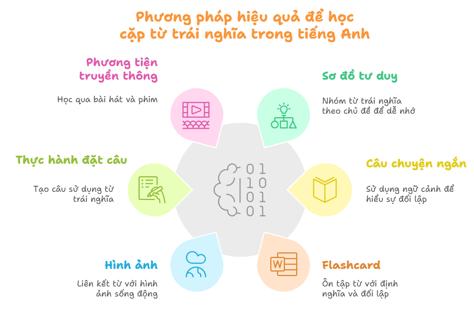 cach-hoc-cap-tu-trai-nghia-trong-tieng-anh