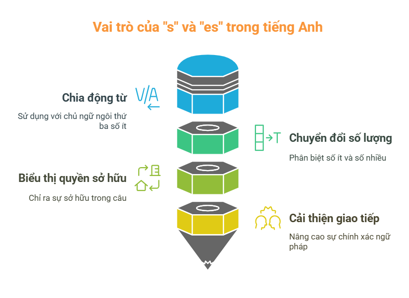khi-nao-dung-s-es-trong-tieng-anh
