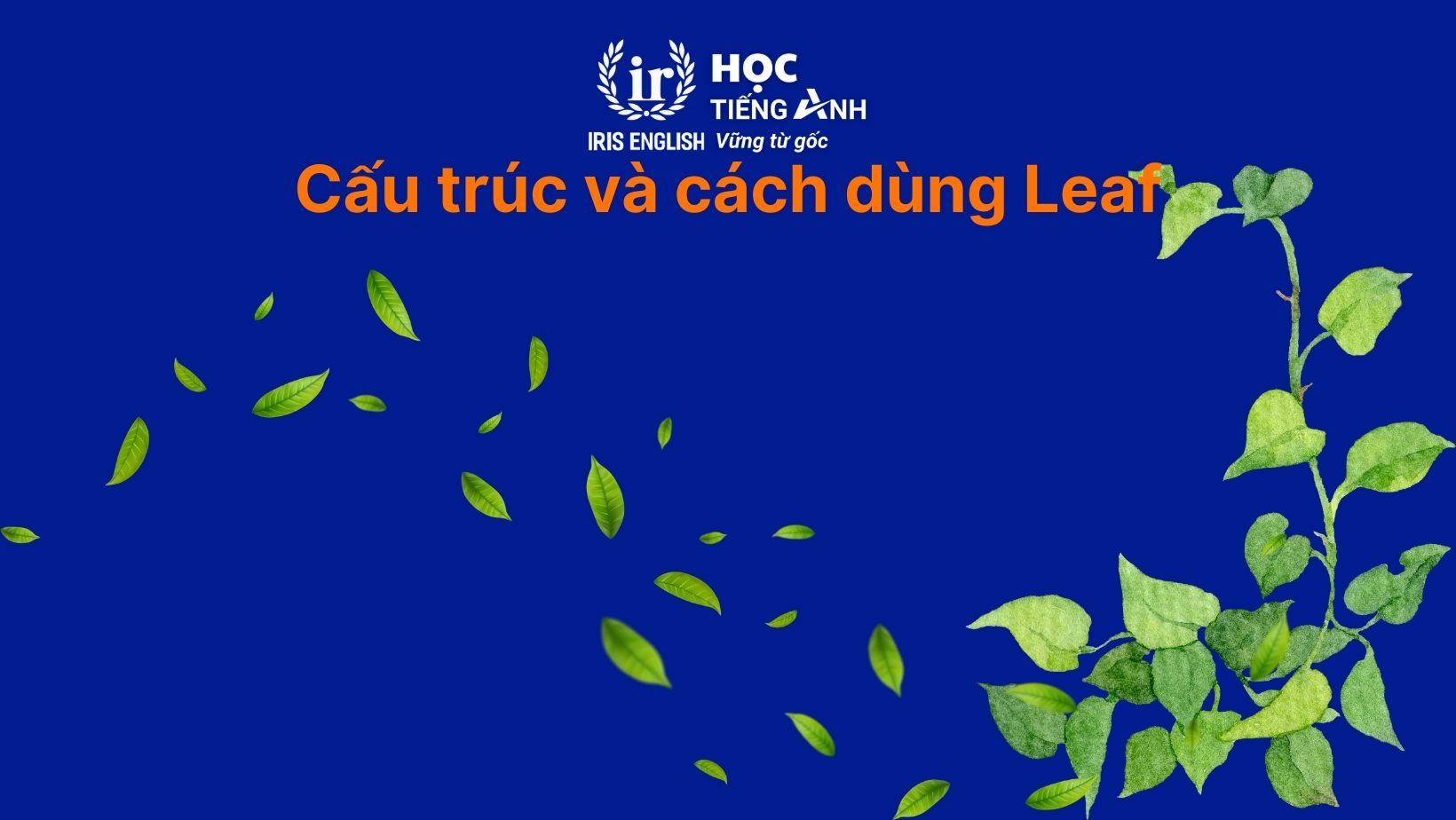 Cấu trúc và cách dùng Leaf