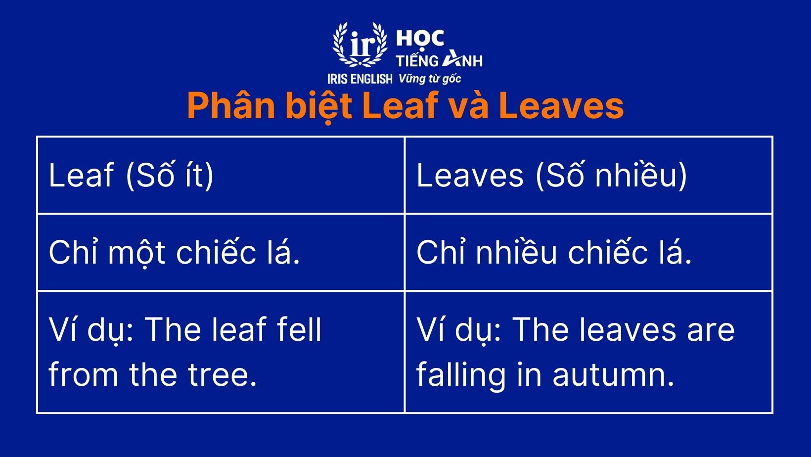 Phân biệt Leaf và Leaves