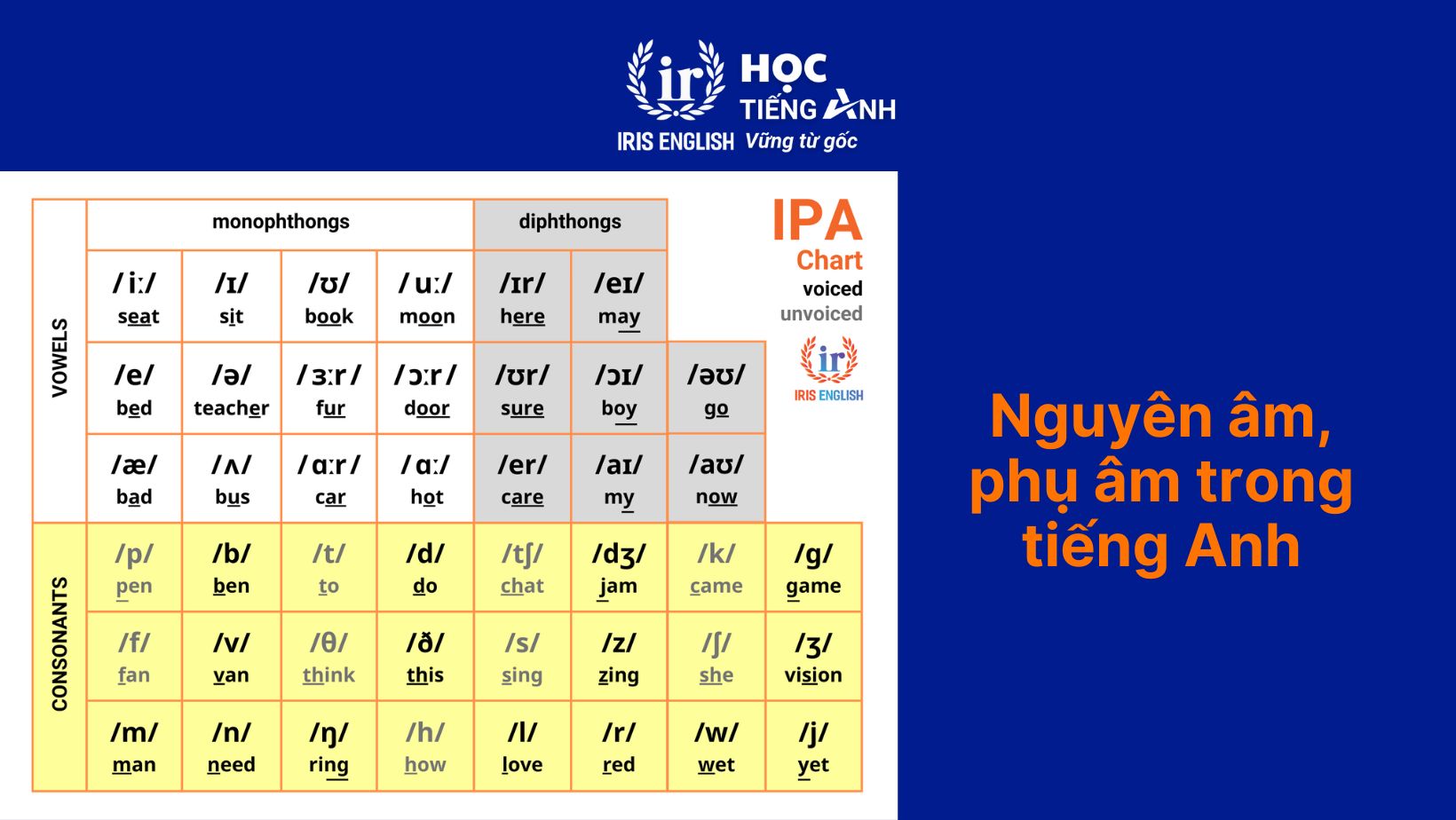Các nguyên âm đôi trong tiếng Anh: Cách phát âm, bí quyết 1 Nguyên âm, phụ âm trong tiếng Anh