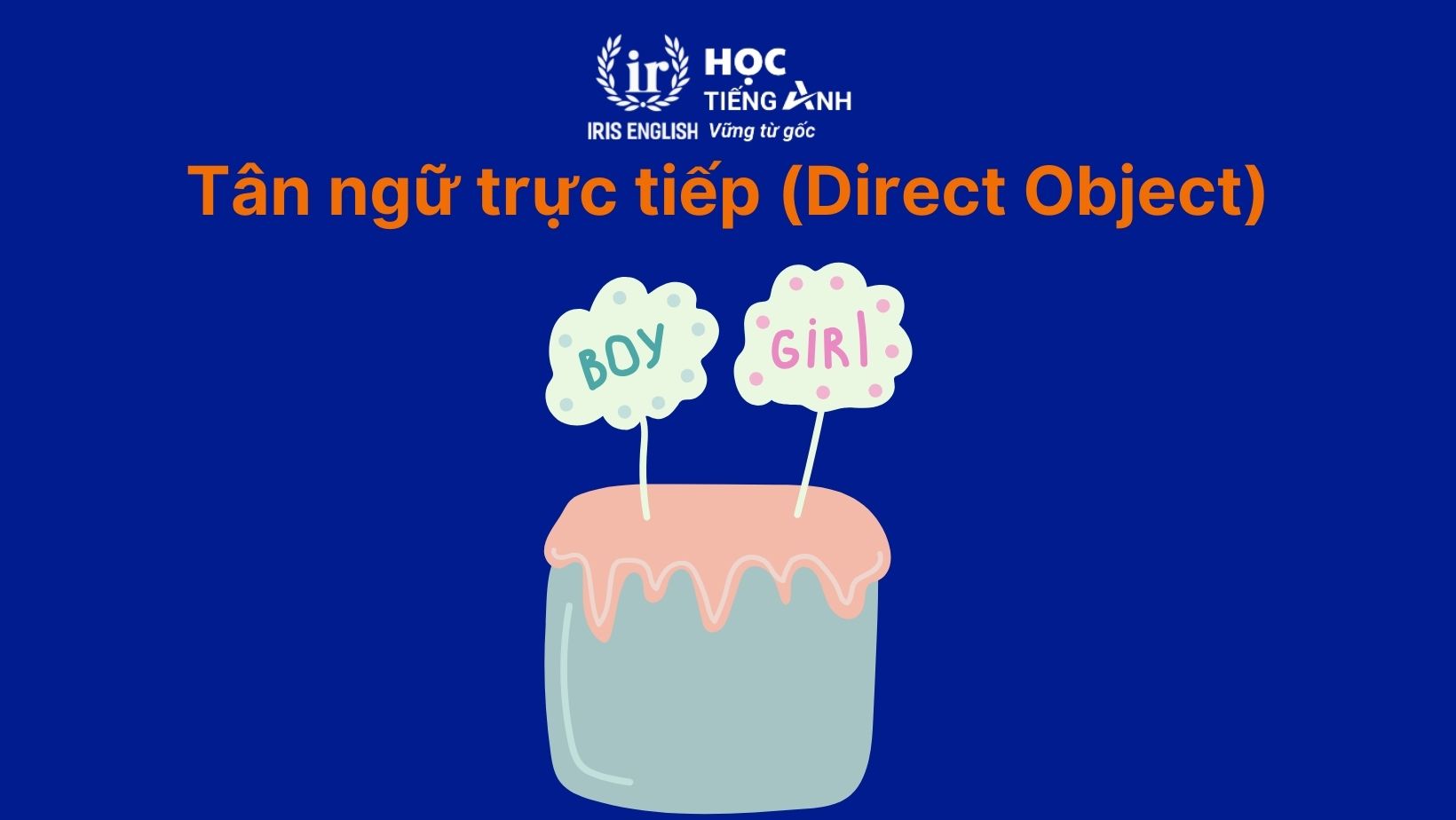 Tân ngữ trong tiếng Anh: Tân ngữ trực tiếp