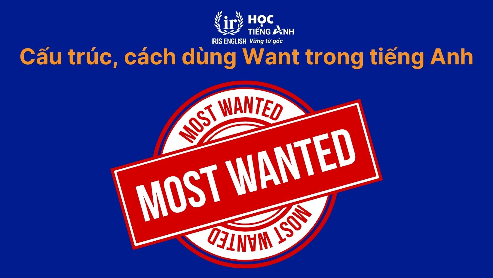 Cấu trúc, cách dùng Want trong tiếng Anh
