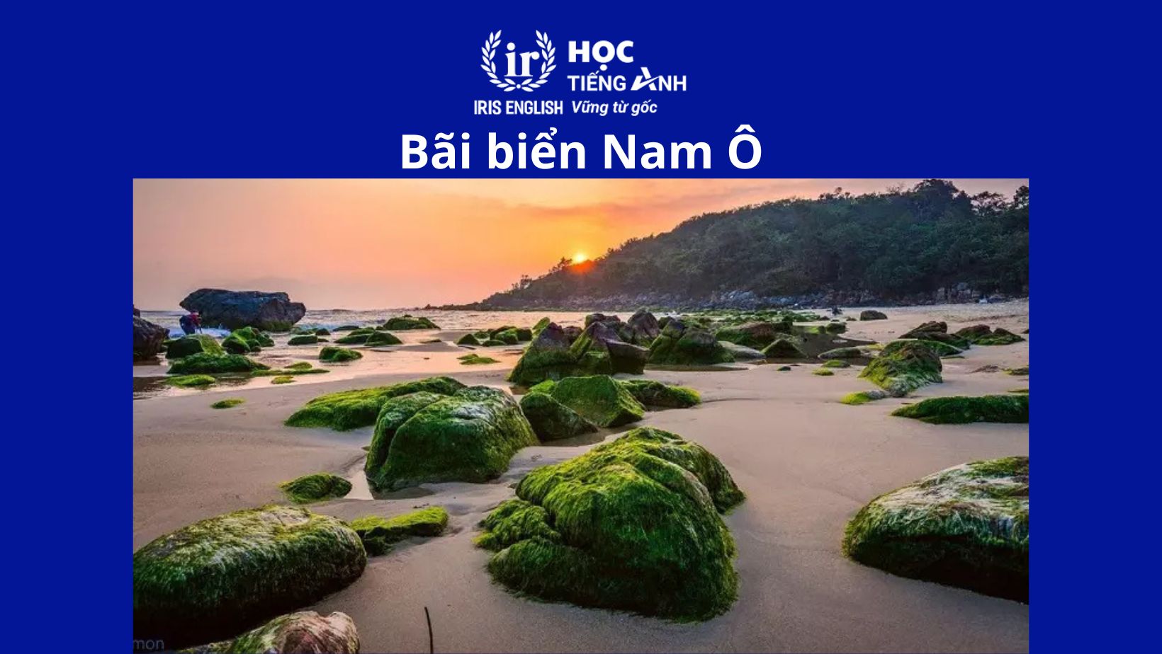 TOP 12 bãi biển Đà Nẵng đẹp nhất - Đẹp đến say lòng người 3 Bãi biển Đà Nẵng đẹp nhất - Bãi biển Nam Ô