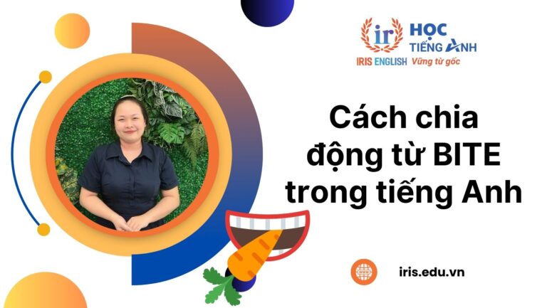 Hướng dẫn cách chia động từ Bite trong tiếng Anh