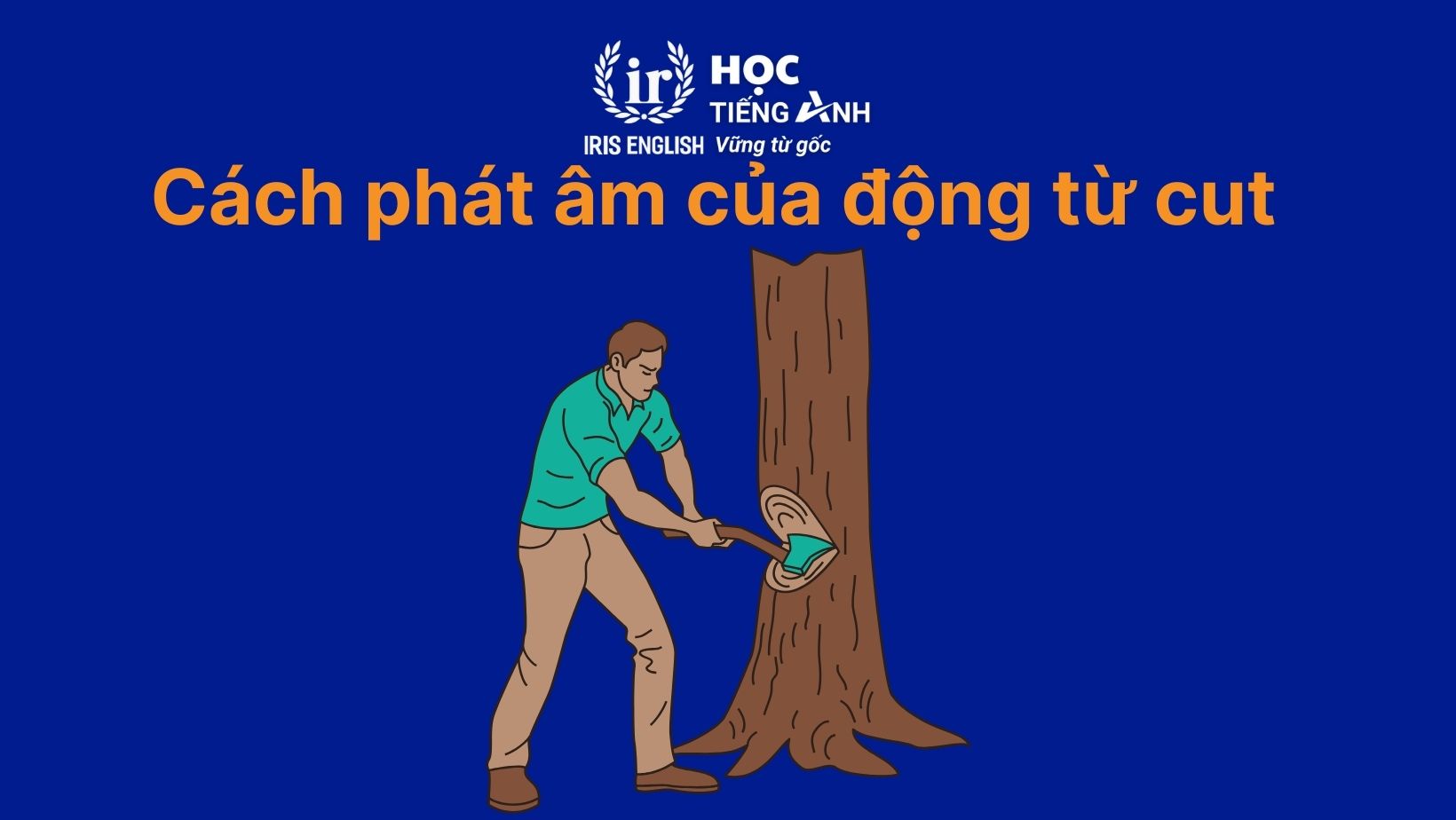 Cách phát âm của động từ cut