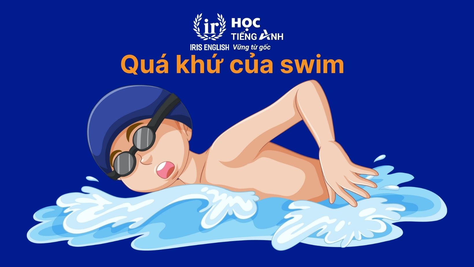 Quá khứ của swim