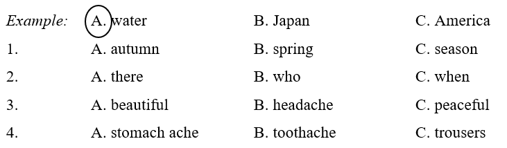 8+ đề thi tiếng Anh học kì 2 lớp 5 có đáp án (PDF tải xuống) 1 Đề thi tiếng Anh học kì 2 lớp 5 có đáp án