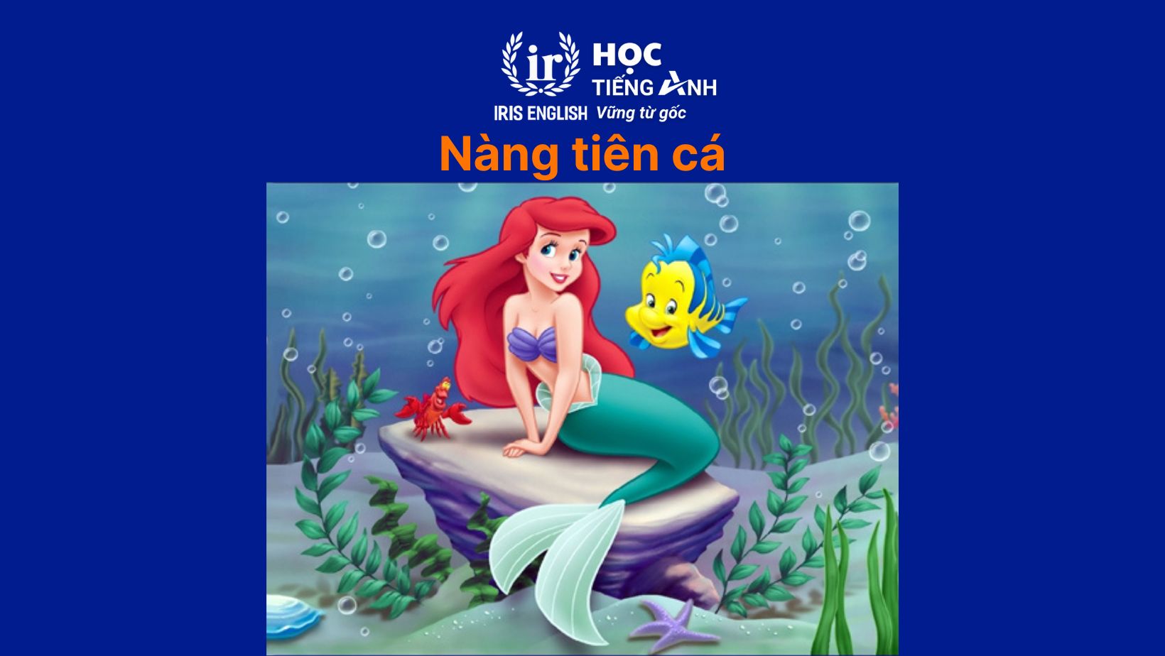 11+ đoạn văn về bộ phim em yêu thích bằng tiếng Anh hay nhất 9 Đoạn văn về bộ phim em yêu thích bằng tiếng Anh - Nàng tiên cá