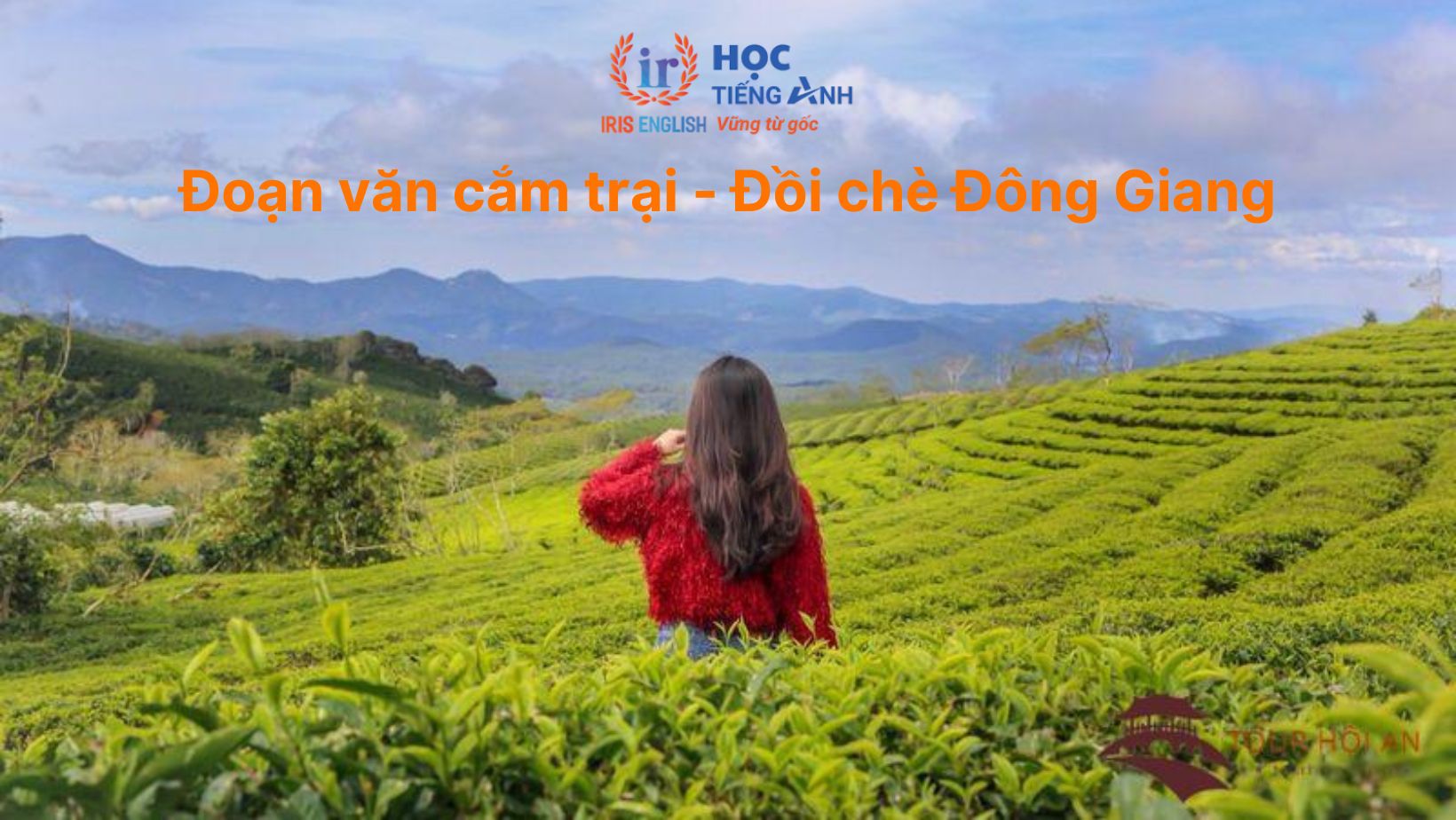 12+ đoạn văn cắm trại bằng tiếng Anh & thuyết trình trại 26/3 10 Đoạn văn cắm trại bằng tiếng Anh - Đồi chè Đông Giang
