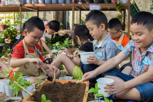 chuong trinh hoc tieng anh cho tre em hoat dong ngoai khoa nong trai giao duc cua iris english