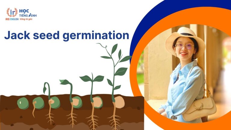 Jack seed germination listening answers, transcript và dịch nghĩa